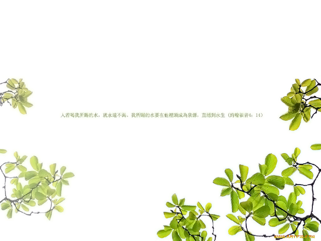 , desktop, decor